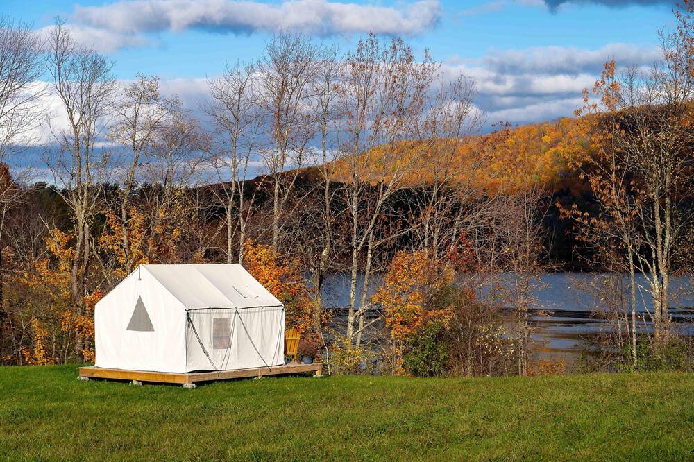 Photo of Others in Danby