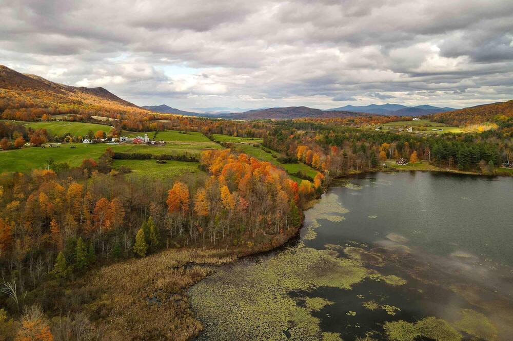 Photo of Others in Danby