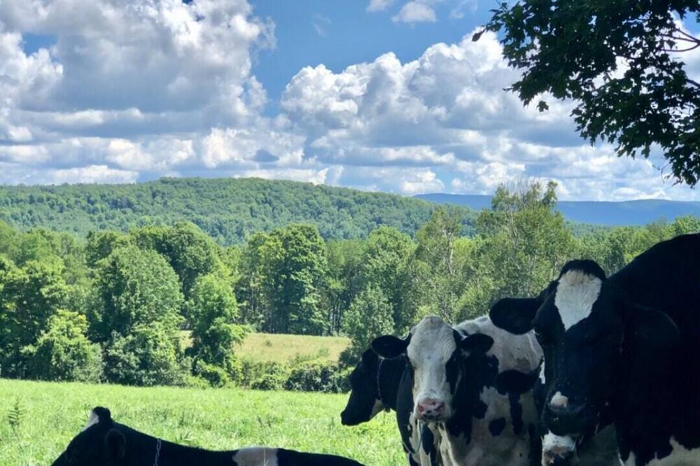 Photo of Others in Danby