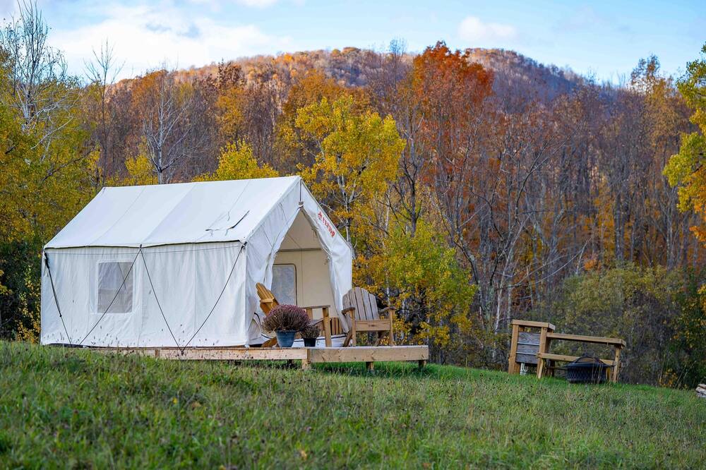 Photo of Others in Danby