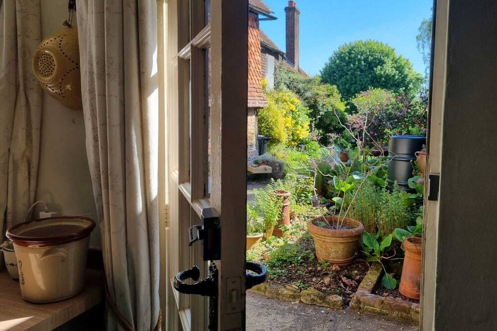 Photo of Outdoor in Petworth