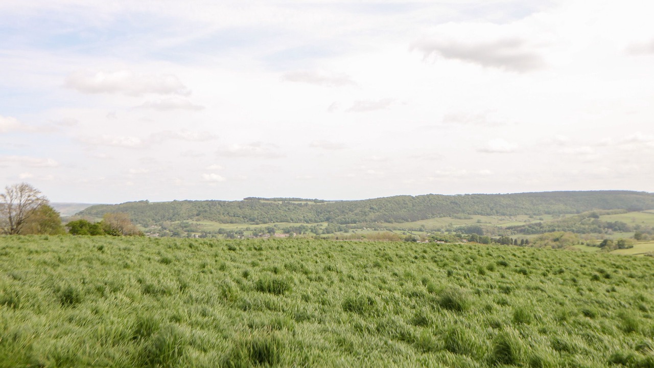 Photo of Others in Over Haddon