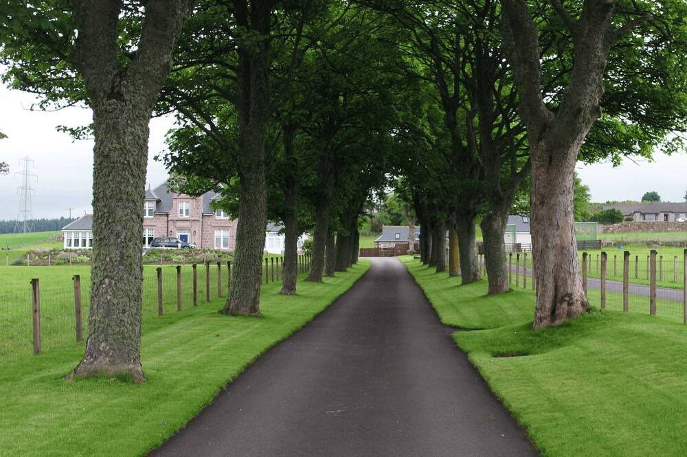 Photo of Others in Westhill