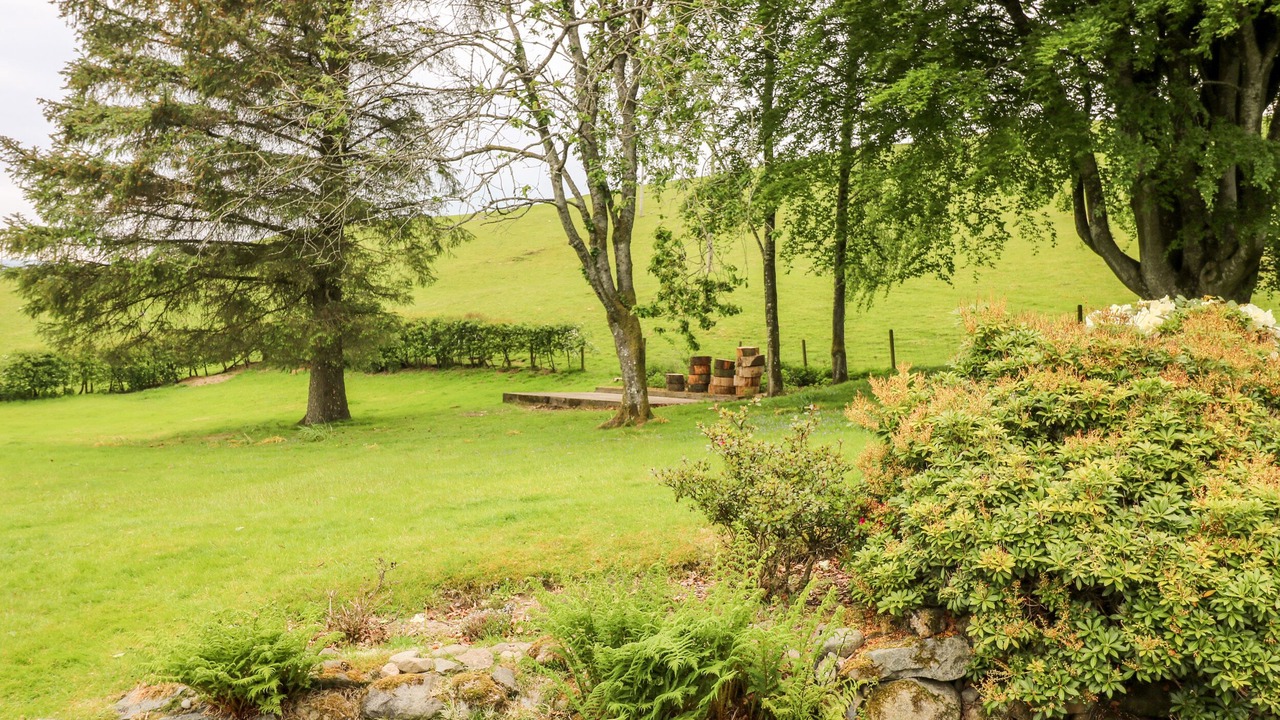 Photo of Others in Beattock