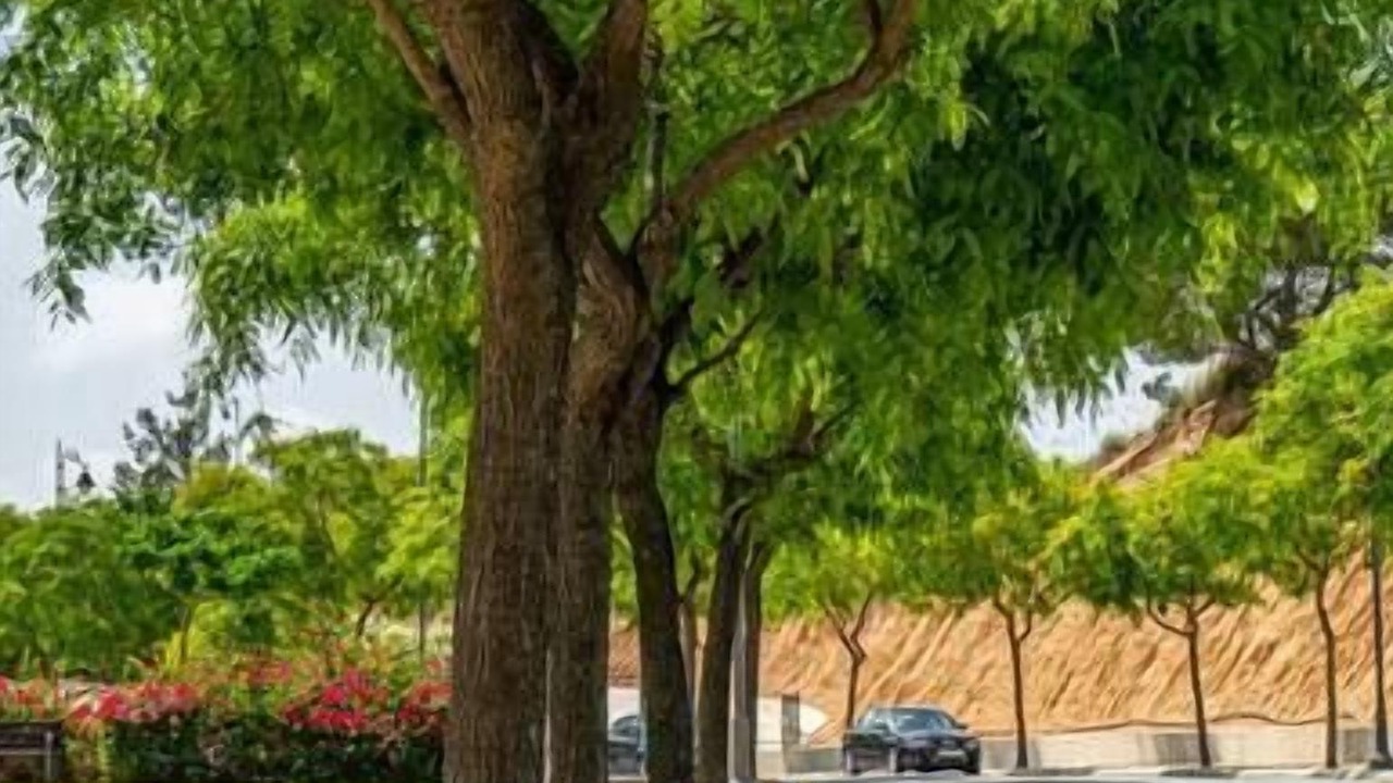 Photo of Outdoor in Sucina