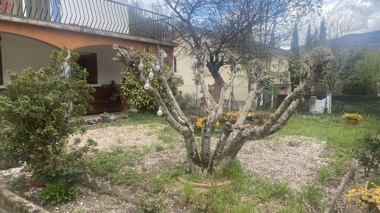 Photo of Outdoor in Prats-de-Mollo-la-Preste