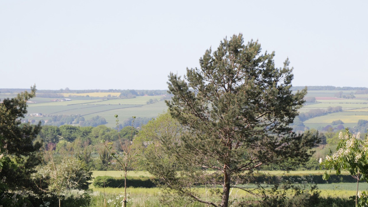 Photo of Others in West Heslerton