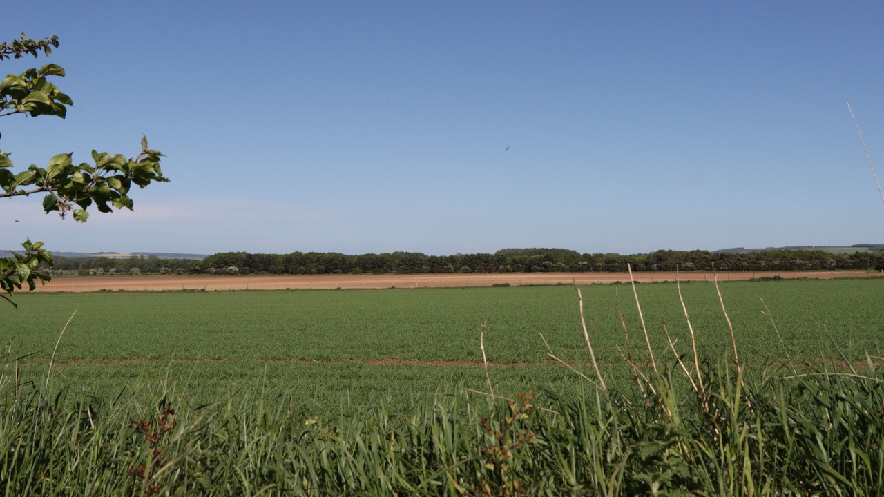 Photo of Others in West Heslerton