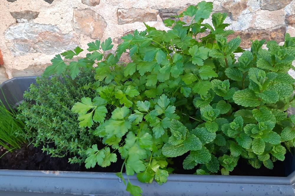 Photo of Outdoor in La Haye