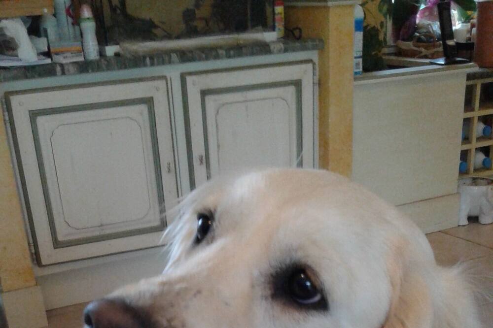 Photo of Others in La Haye