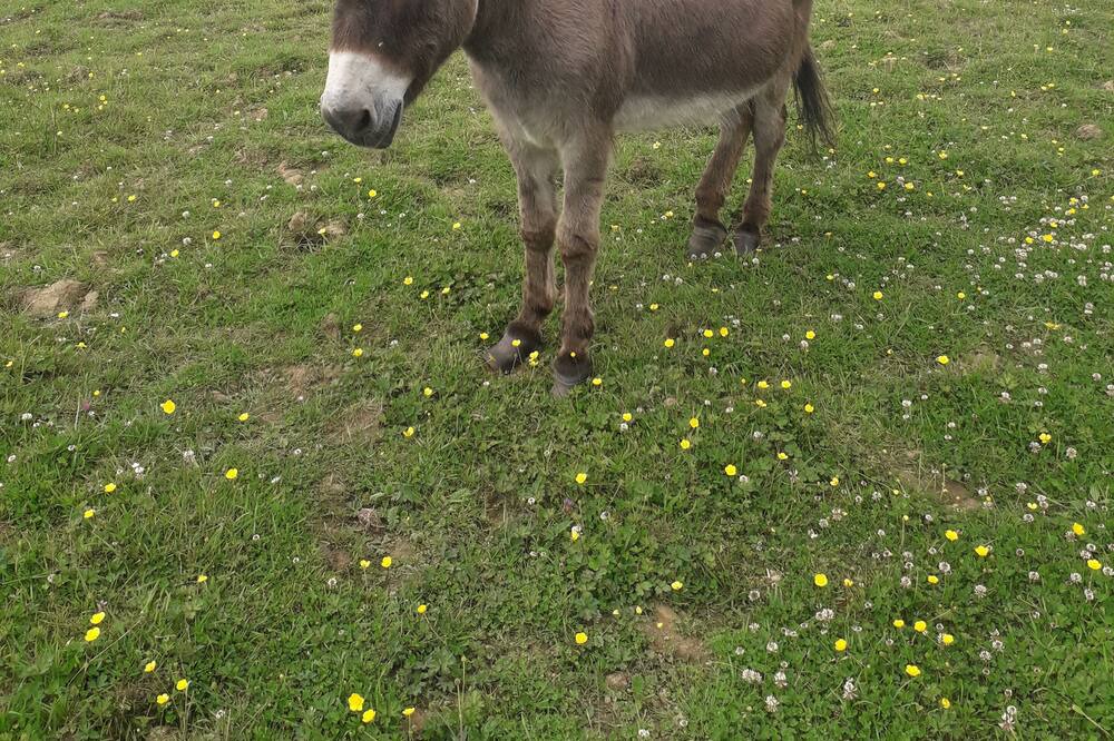 Photo of Outdoor in La Haye