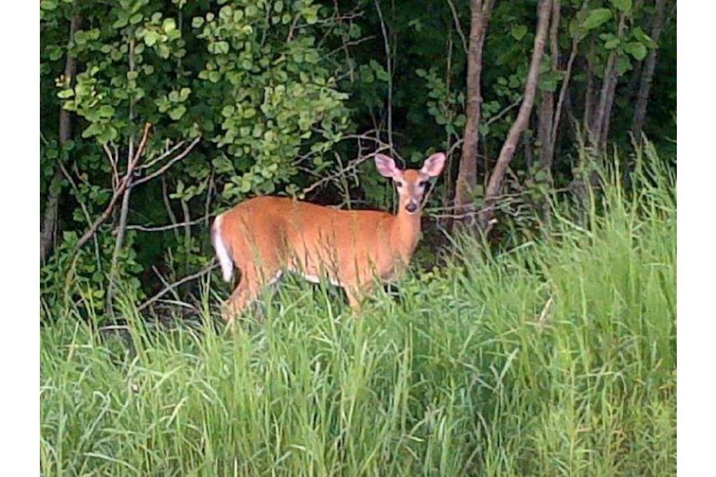 Photo of Outdoor in Waterville