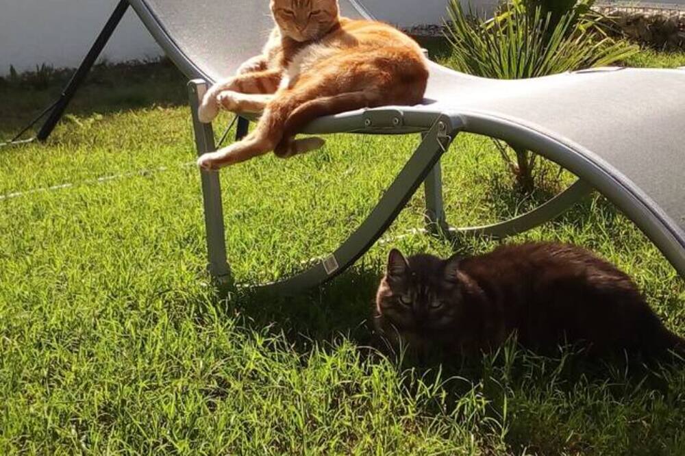 Photo of Outdoor in Saint-Aunes