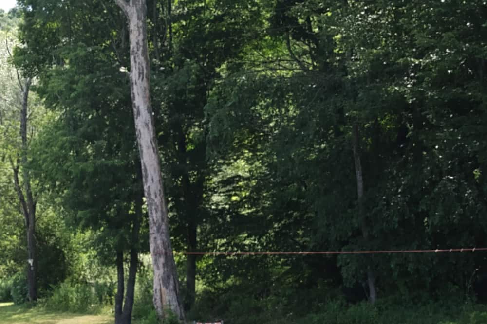 Photo of Outdoor in Randolph