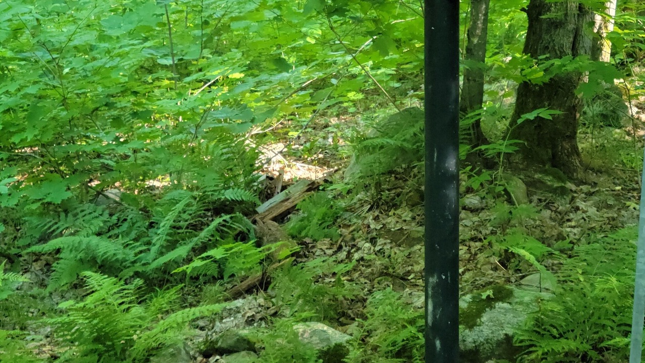 Photo of Outdoor in Armour