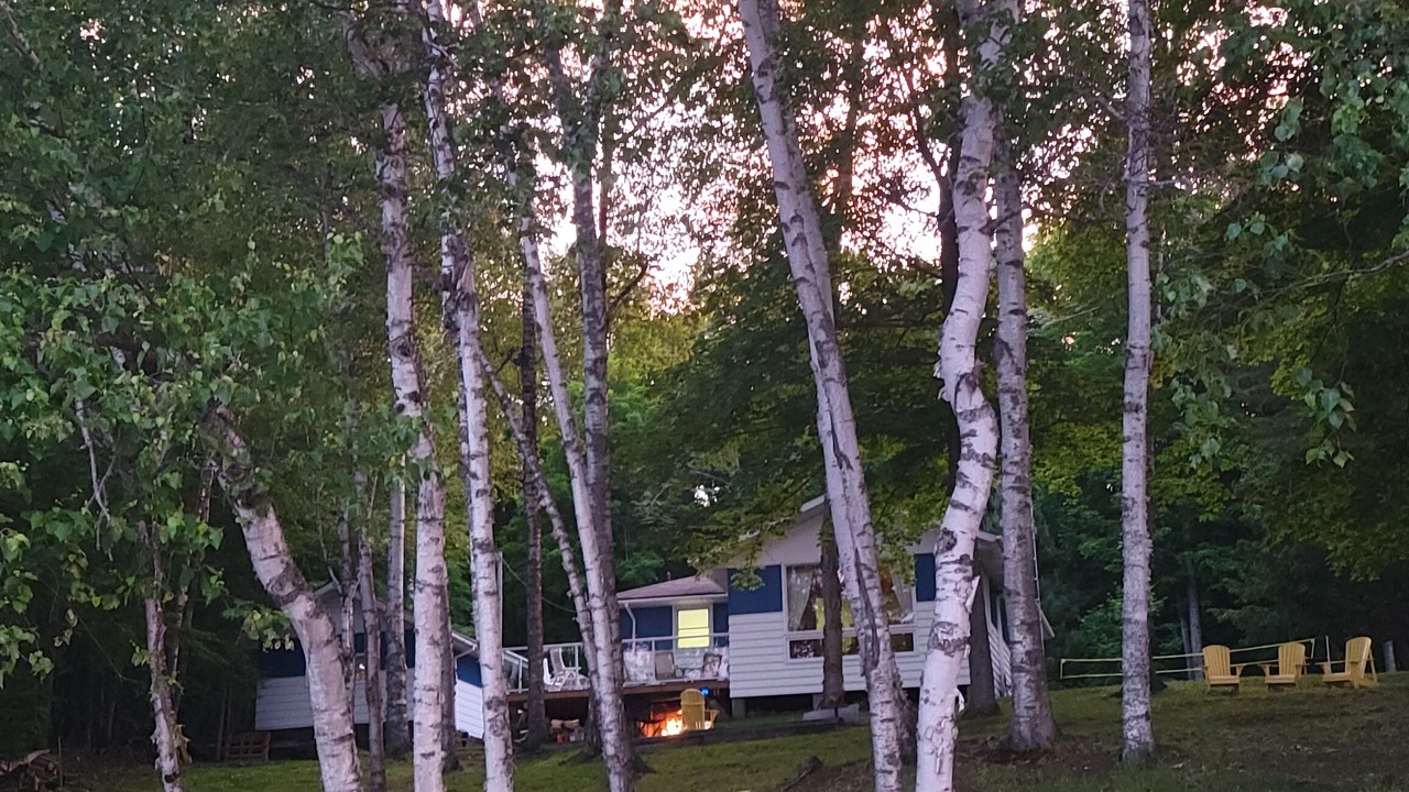 Photo of Outdoor in Armour