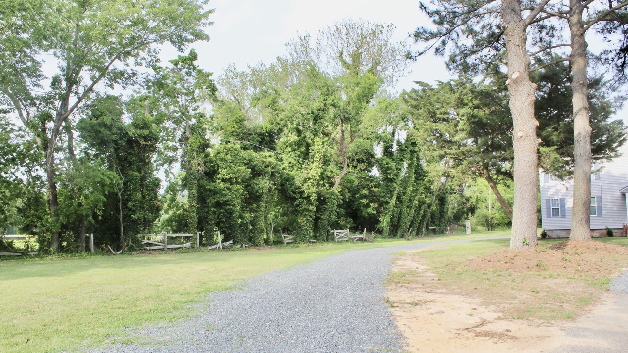 Photo of Outdoor in Dalbys