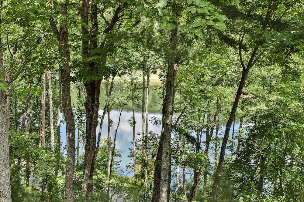 Photo of Outdoor in Big Canoe