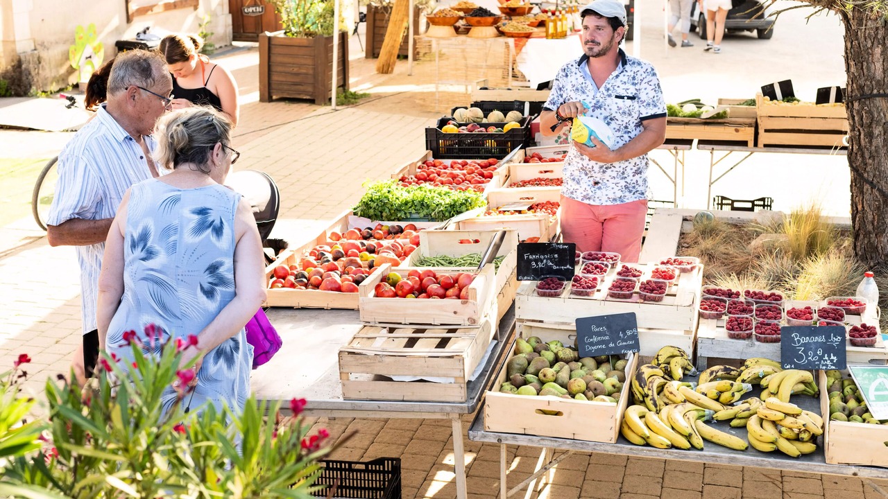Photo of Outdoor in Brissac-Quince