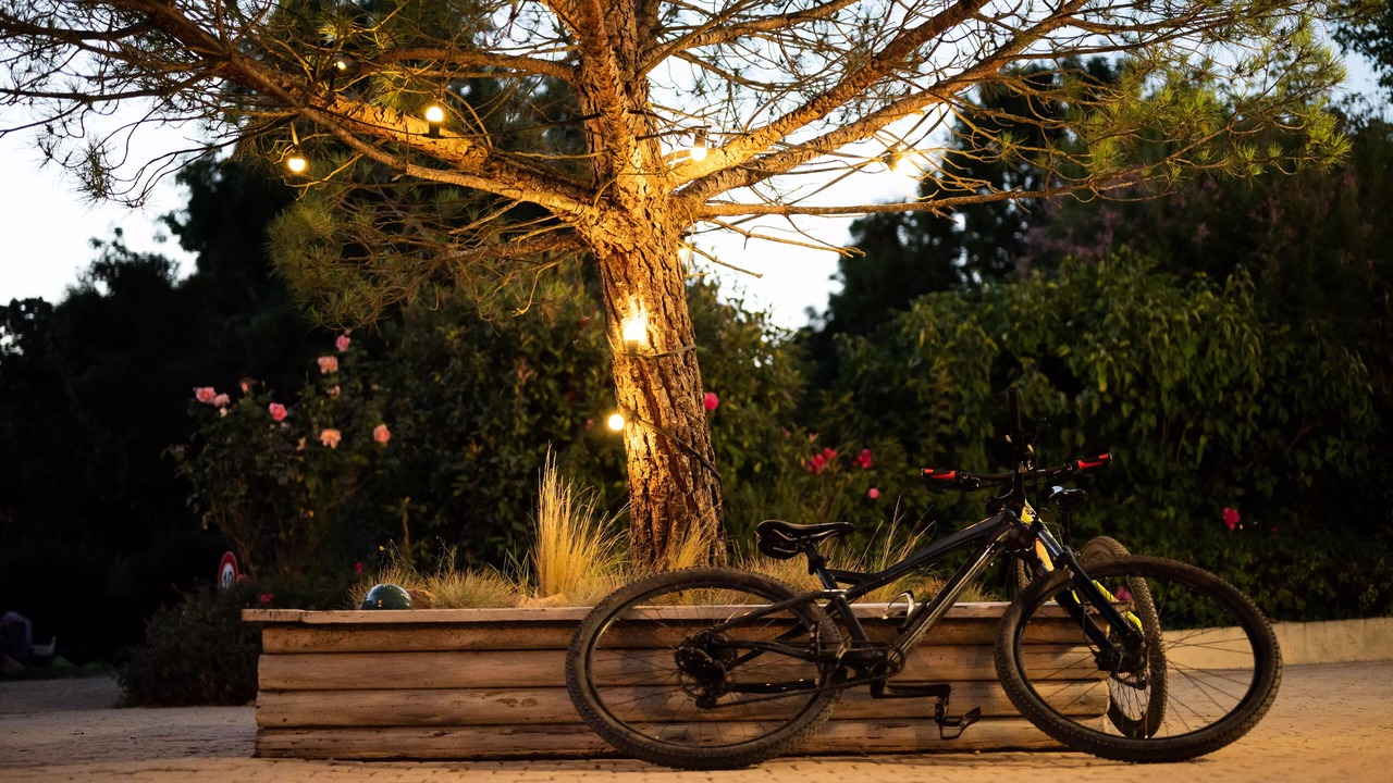 Photo of Outdoor in Brissac-Quince