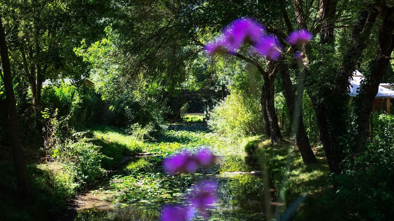 Photo of Outdoor in Brissac-Quince