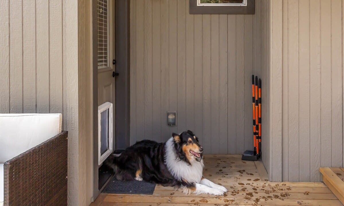 Photo of Outdoor in Larkspur