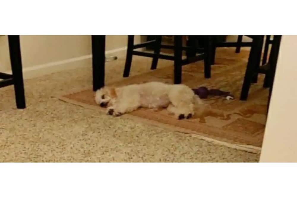 Photo of Bedroom in Peachtree City