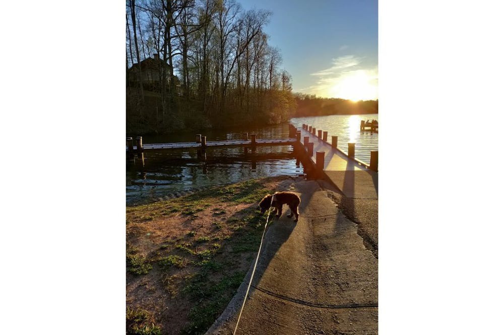 Photo of Others in Peachtree City