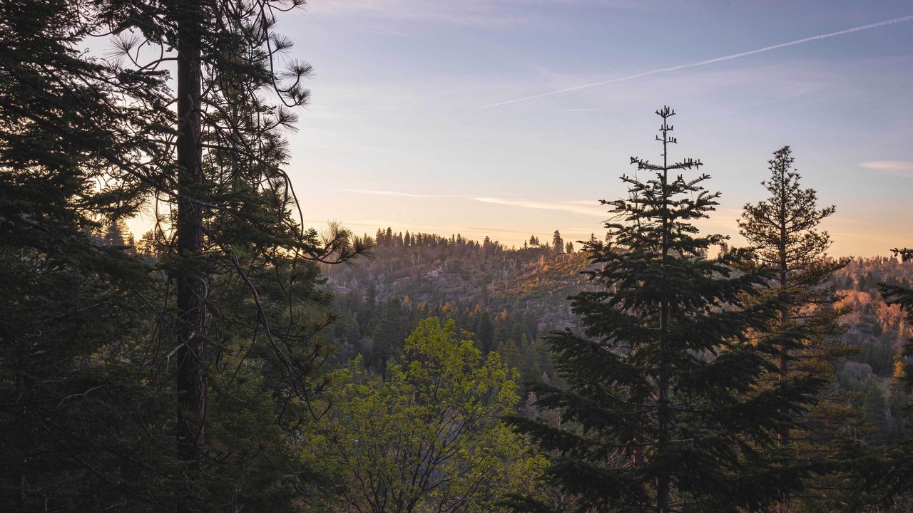Photo of Outdoor in Twin Peaks