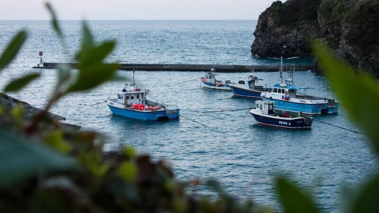 Photo of Others in Port Isaac