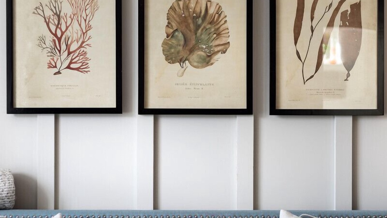 Photo of Others in Port Isaac