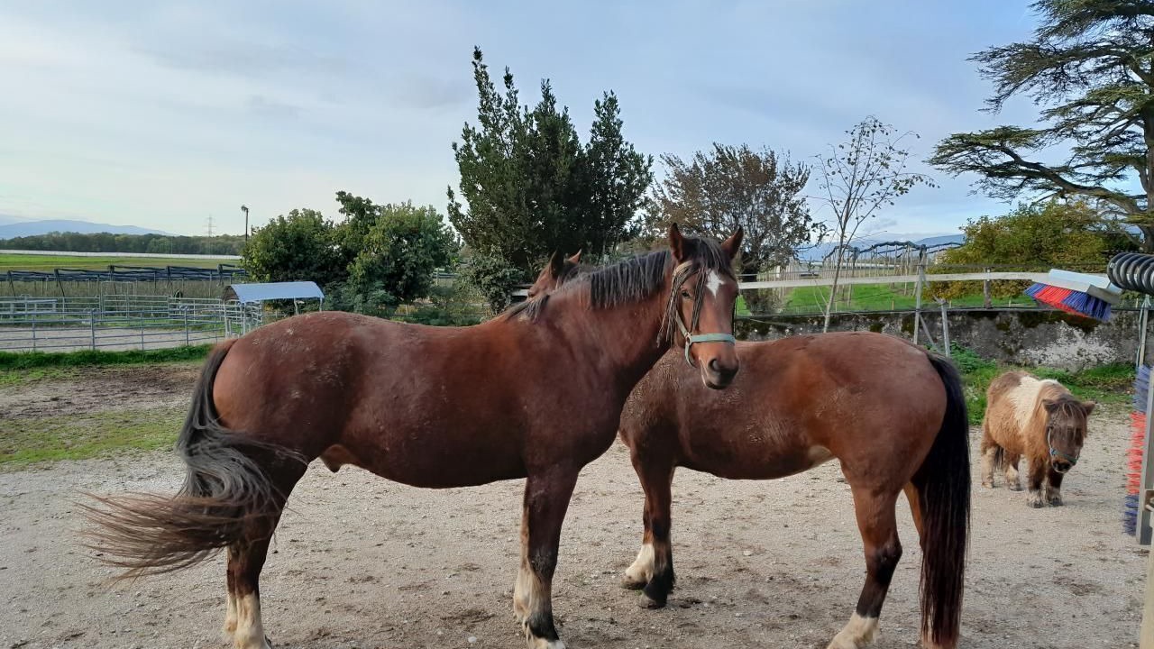 Photo of Others in Luins