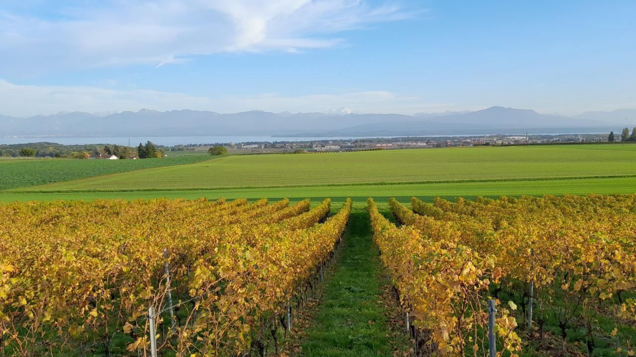 Photo of Others in Luins