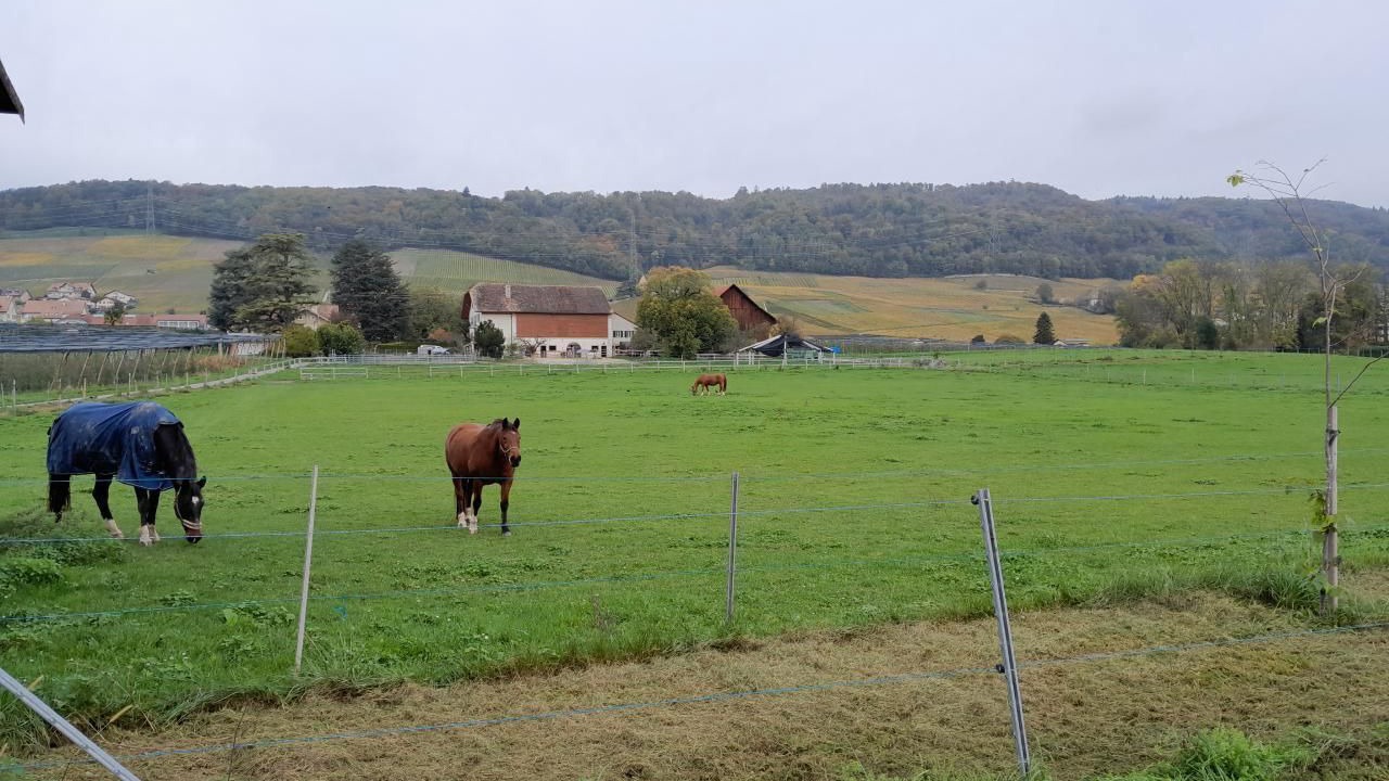 Photo of Others in Luins