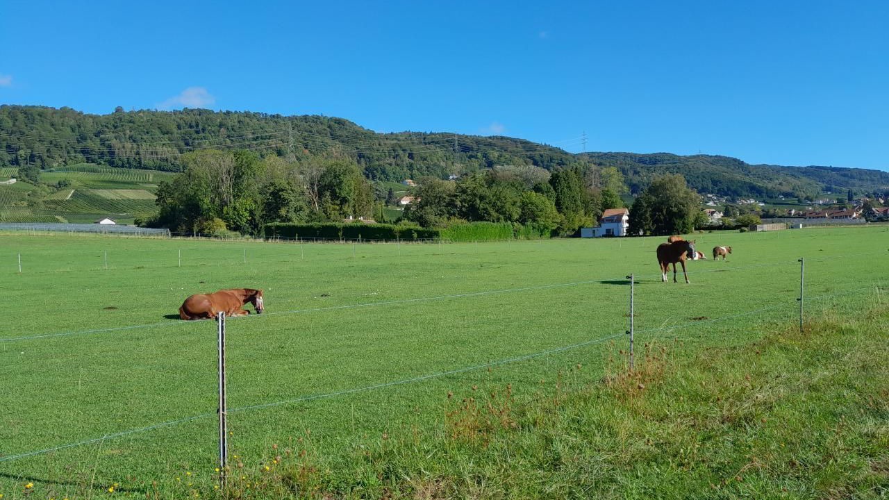 Photo of Others in Luins