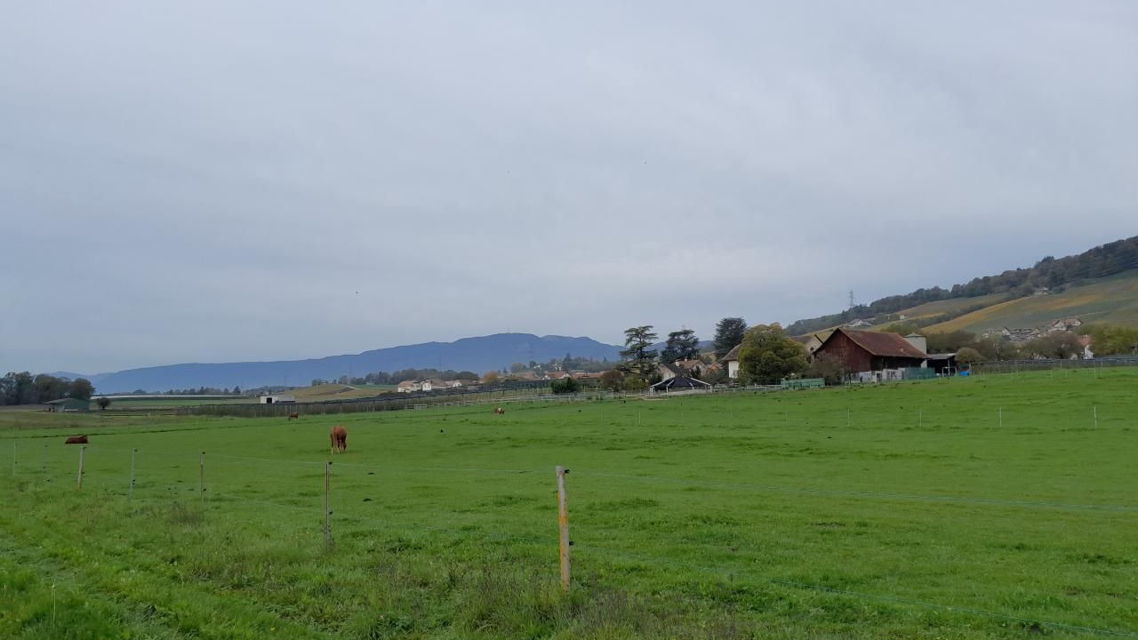 Photo of Others in Luins