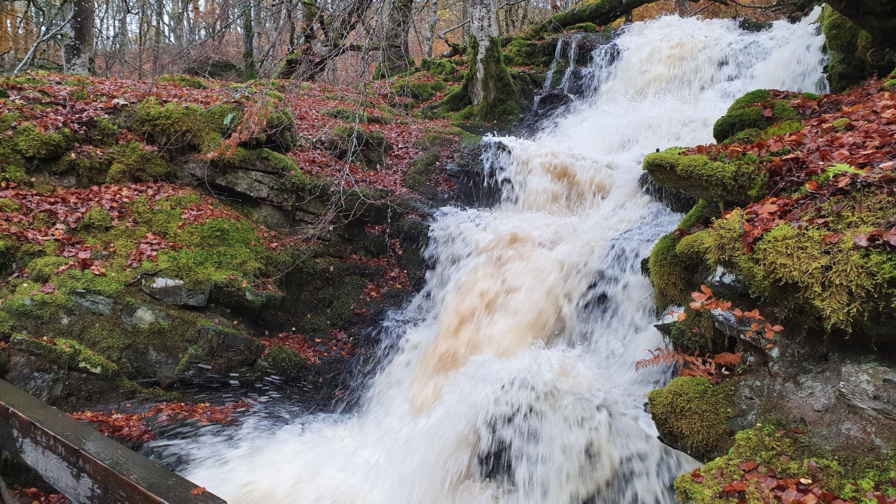 Photo of Others in Aberfeldy