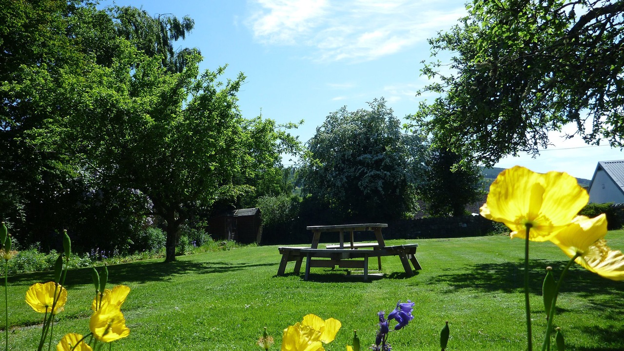 Photo of Others in Aberfeldy