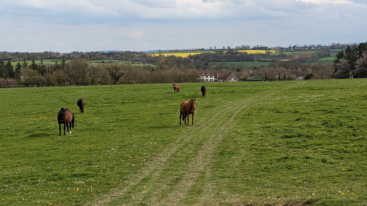 Photo of Others in Anctoville
