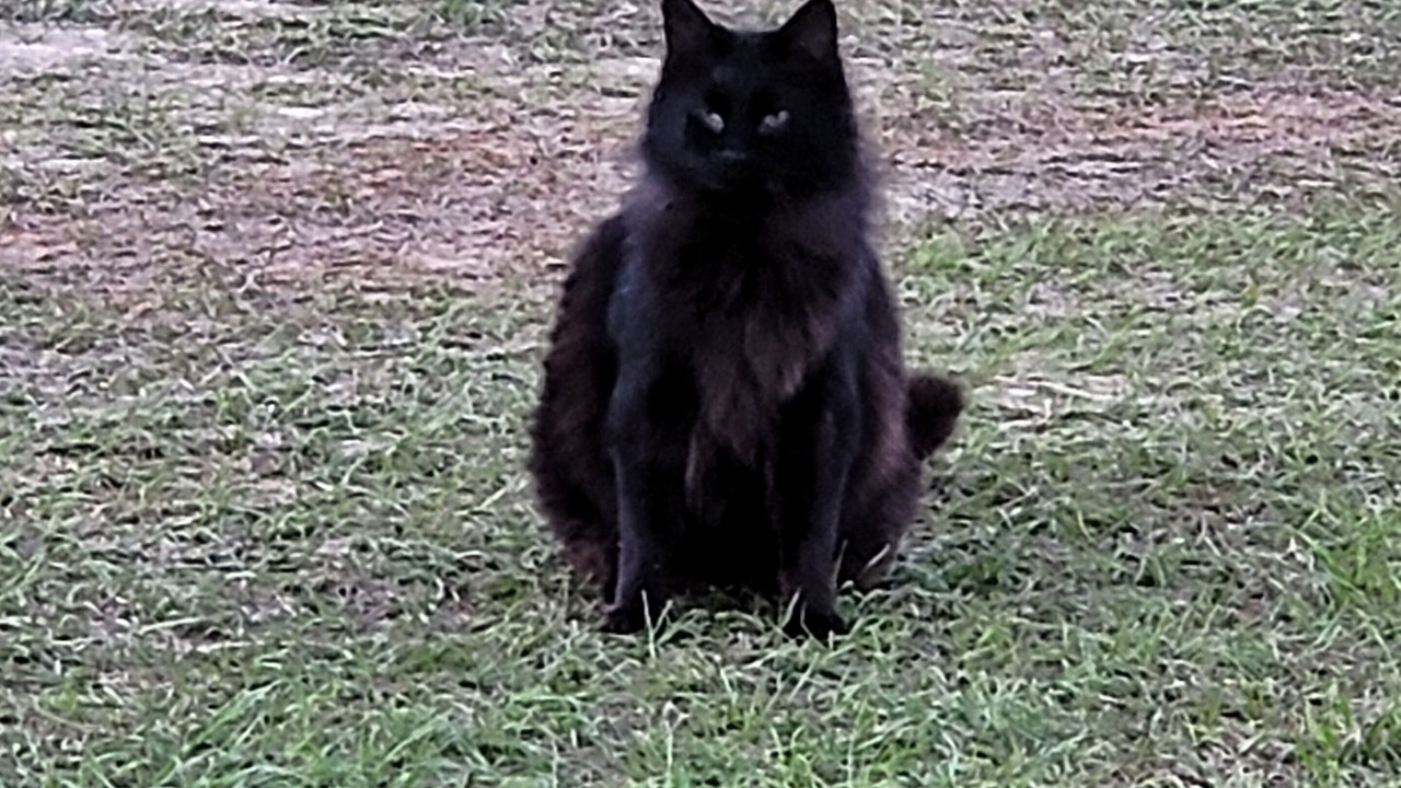 Photo of Outdoor in Georgia Coast