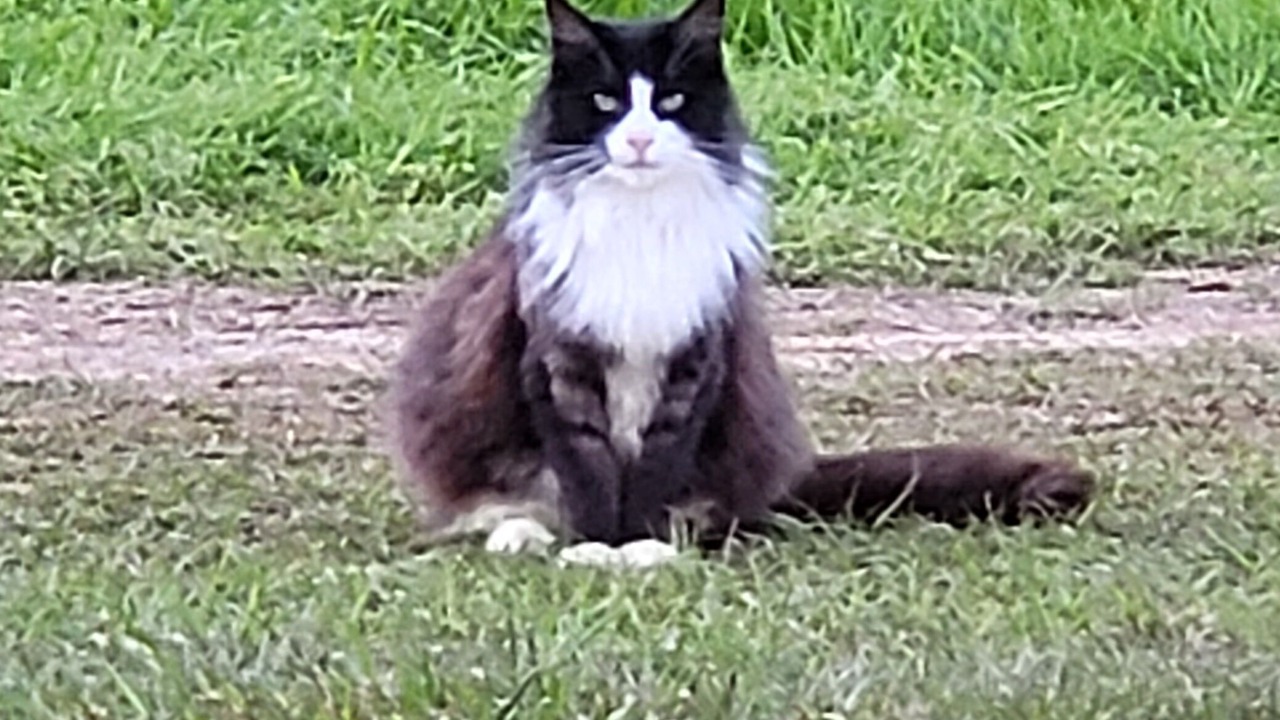 Photo of Outdoor in Georgia Coast