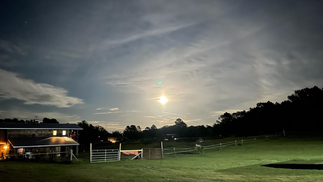 Photo of Others in Georgia Coast