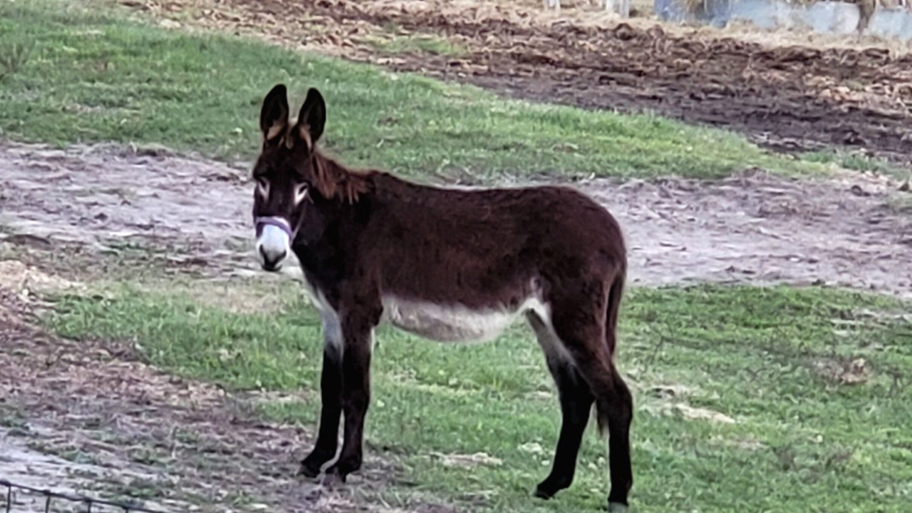 Photo of Outdoor in Georgia Coast