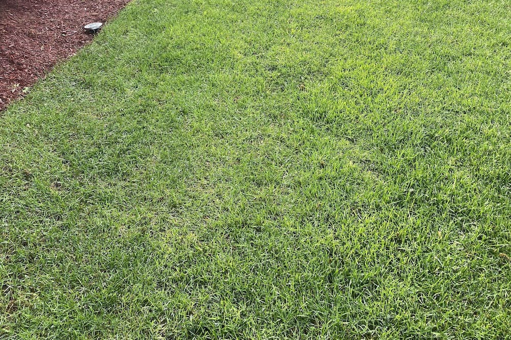 Photo of Outdoor in Tallman