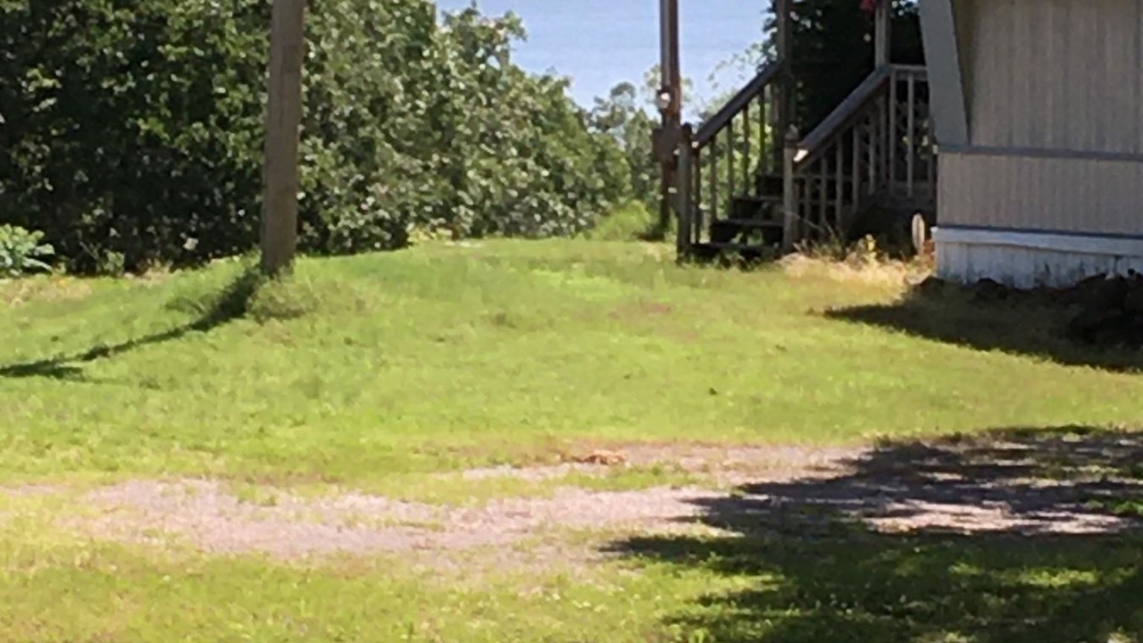 Photo of Outdoor in Park Hill