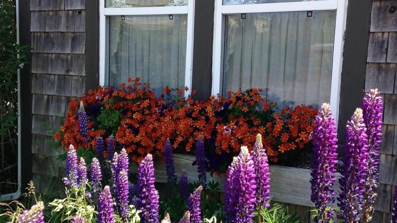 Photo of Outdoor in Margaretsville