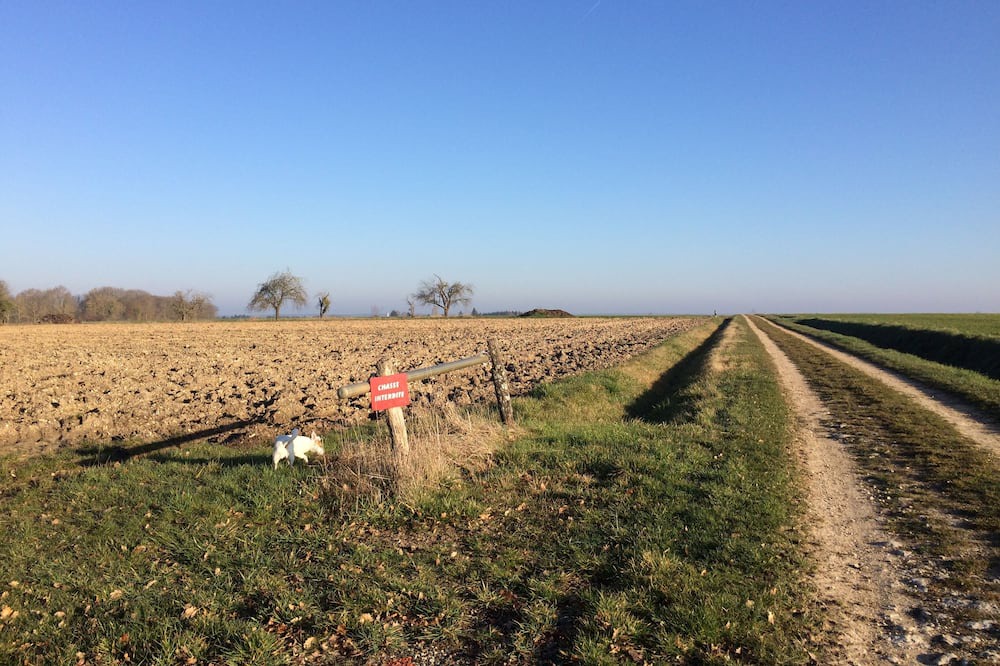 Photo of Others in Blere