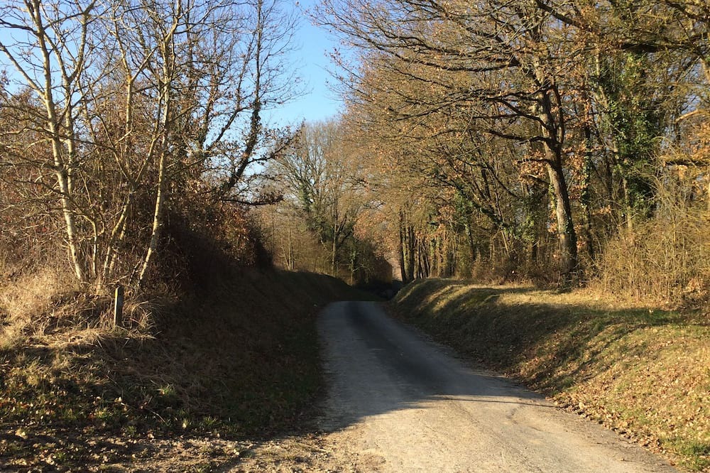 Photo of Outdoor in Blere