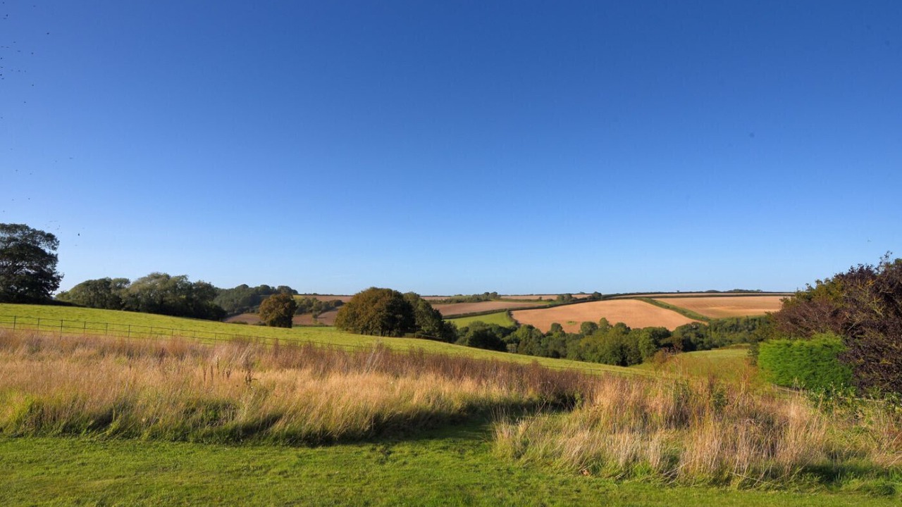 Photo of Others in Axmouth