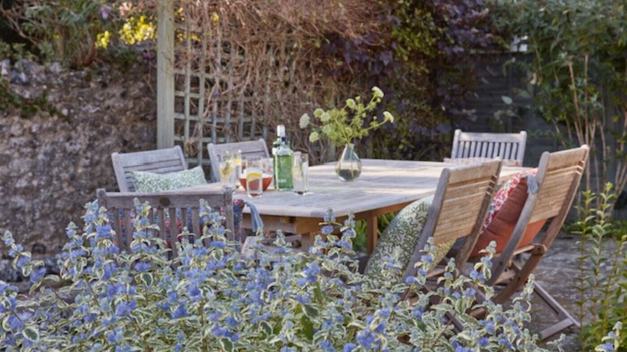 Photo of Others in Beer